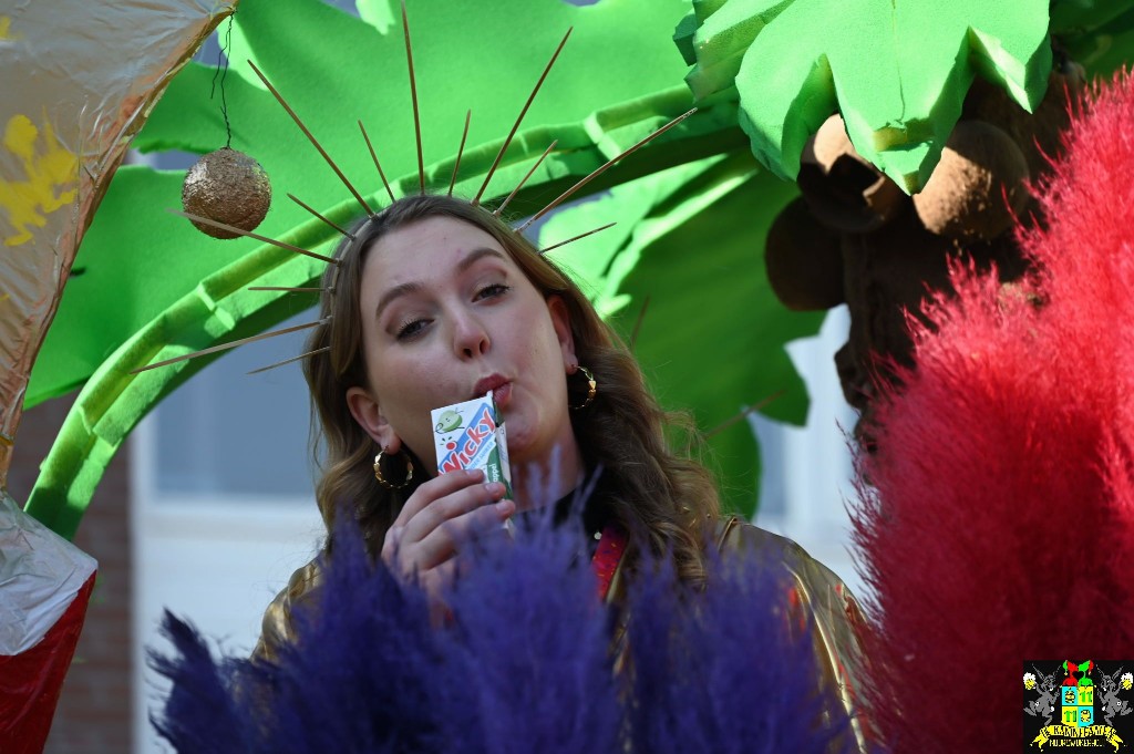 ../Images/Optocht De Zilk 2025 182.jpg